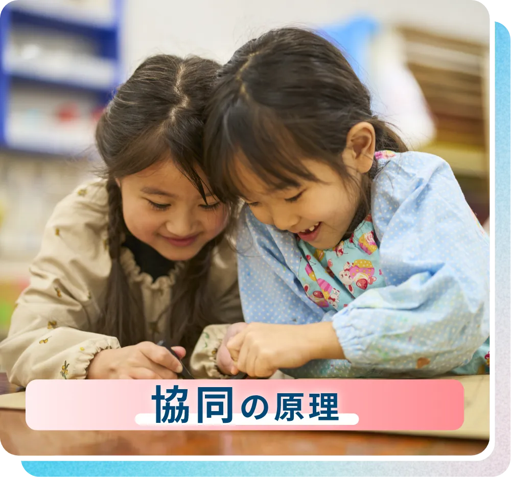 協同の原理