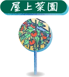 屋上菜園