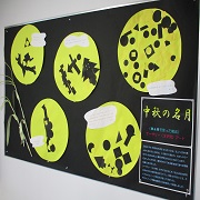 ２学期も順調にスタート！