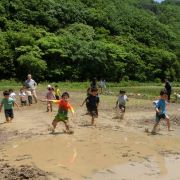 ひとつの苗、ひと粒の種から始まる学び