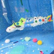 「海の生き物」どんどん膨らむ知的好奇心